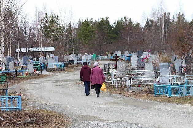 На защиту кладбищ от грызунов и клещей потратят почти в три раза больше, чем в городе