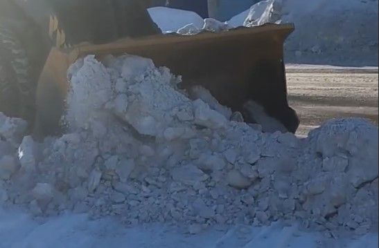 Жена мобилизованного пожаловалась на заваленные тротуары 