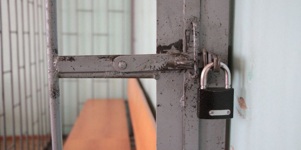 назначение и производство экспертизы. последствия приостановления производства по делу. назначение психиатрической экспертизы. оспаривание заключения судебно медицинской экспертизы. обязательное назначение экспертизы.