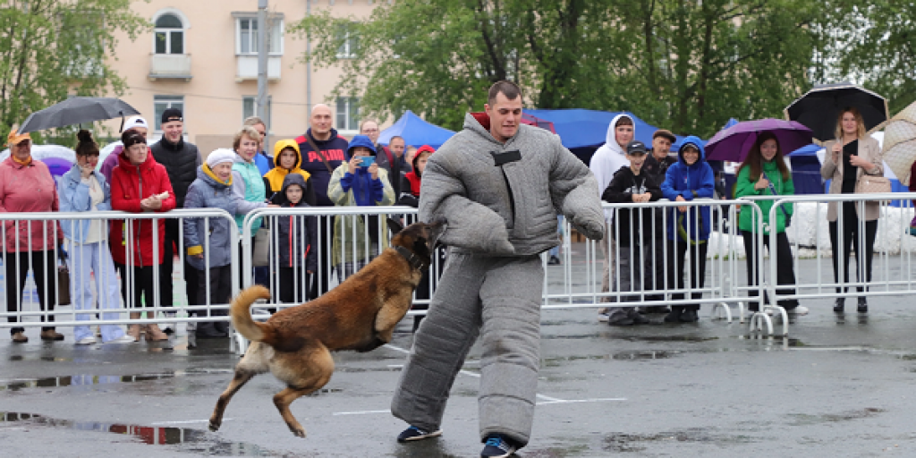 Фото задержанных преступников