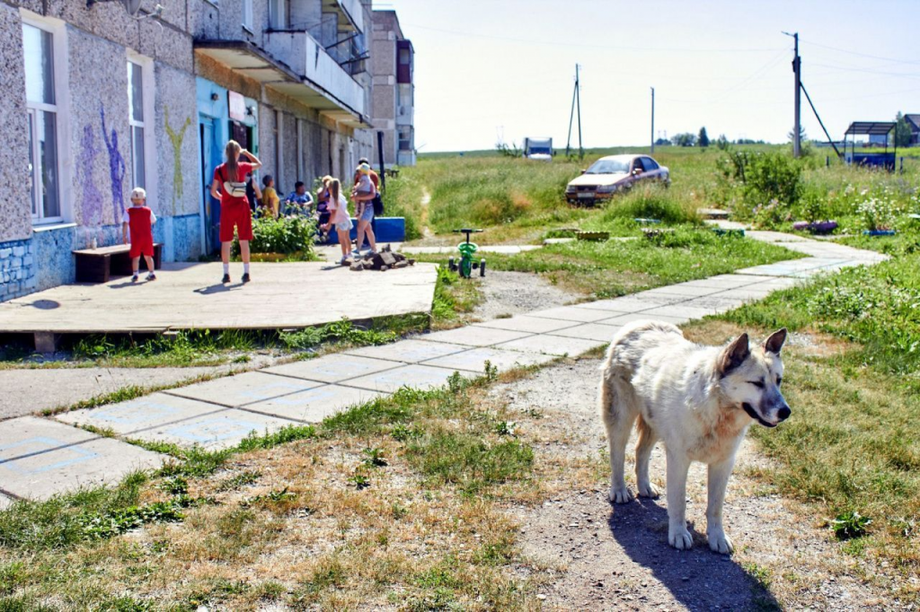 В Прибрежном на безнадзорных собак не жаловались. Здесь они любимцев дворов, сопровождающие детей во время летних игр. Фото: Вадим Аминов, "Вечерний Краснотурьинск"