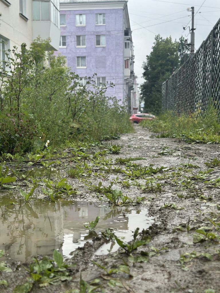 «Теперь люди вынуждены ходить по грязи», — констатирует читатель. Фото: Мария Шевнина, «Вечерний Краснотурьинск» «Теперь люди вынуждены ходить по грязи», — констатирует читатель. Фото: Мария Шевнина, «Вечерний Краснотурьинск»