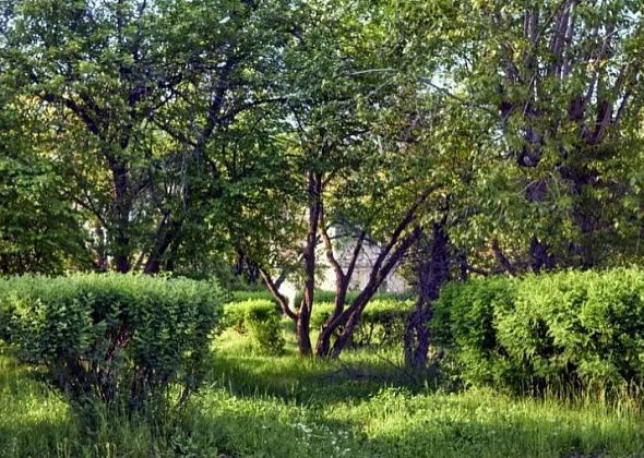 На благоустройство парка на Медной Шахте выделили более 100 миллионов рублей