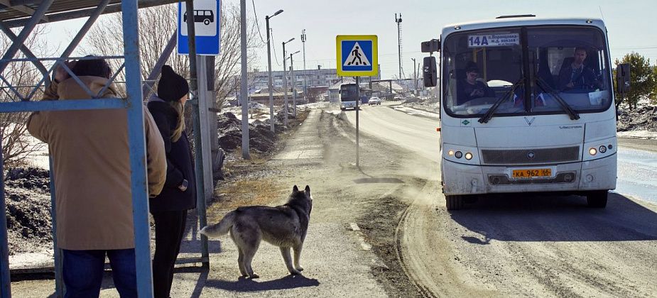 Проезды по «четырнадцатым» маршрутам планируют сделать дешевле
