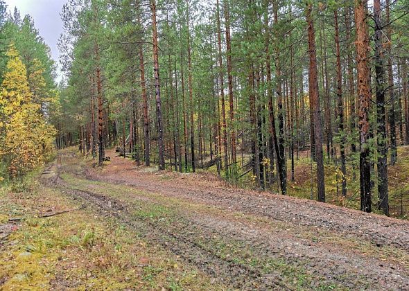 Вблизи Краснотурьинска возобновятся взрывы