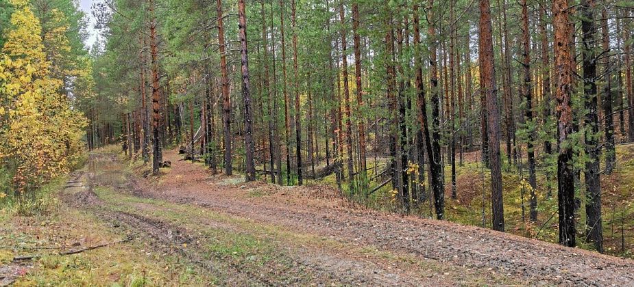 Вблизи Краснотурьинска возобновятся взрывы