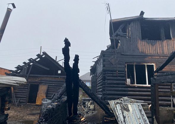 Кошки в горящем доме предупредили хозяев о пожаре