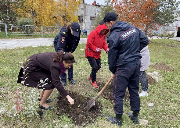 Полицейские высадили 12 саженцев калины, ирги и вишни