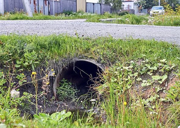 Понижать уровень грунтовых вод на Медной Шахте будут екатеринбуржцы