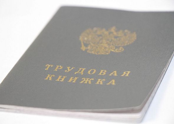 С начала года новую работу нашли более полутора тысяч горожан  