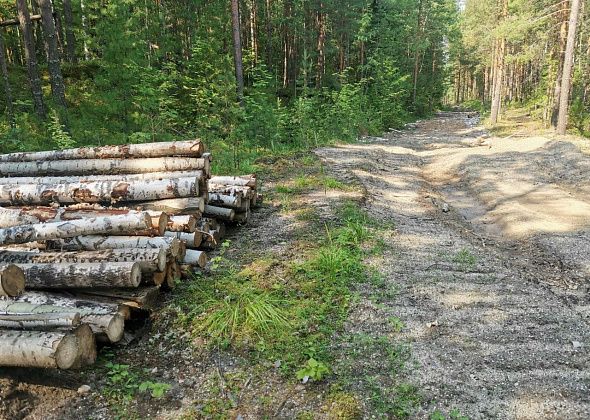 «Даже бревнышка не было»: предприниматель прокомментировал иск прокуратуры