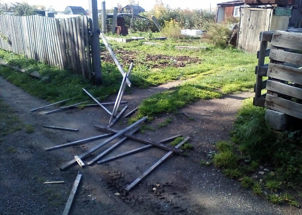 Садоводы Медной Шахты сообщают: медведь к ним приходит каждую ночь