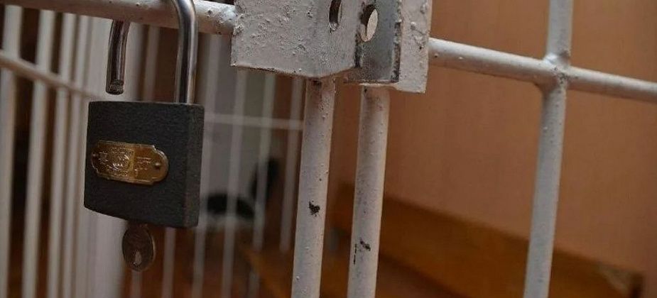 За 14 граммов наркотиков студентка может сесть на 8 лет