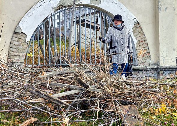 В больнице поблагодарили горожанку, которая подрезала кусты