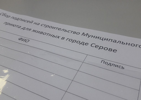  Активисты собирают подписи за приют в Серове