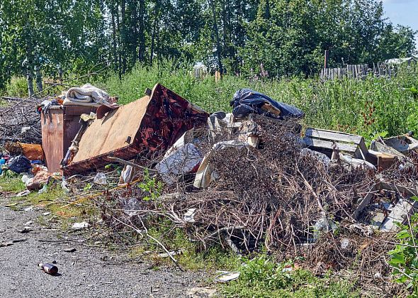 Кто создает свалки и что с ними делать?