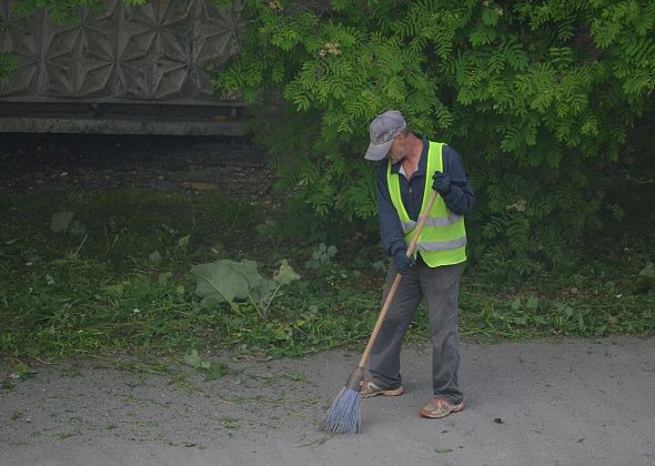 Почти миллион рублей можно заработать на подметании тротуаров