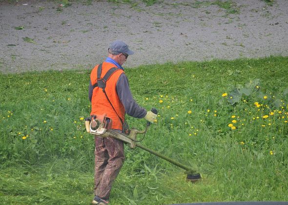 На покосе травы вдоль автодорог можно заработать более 2 миллионов рублей