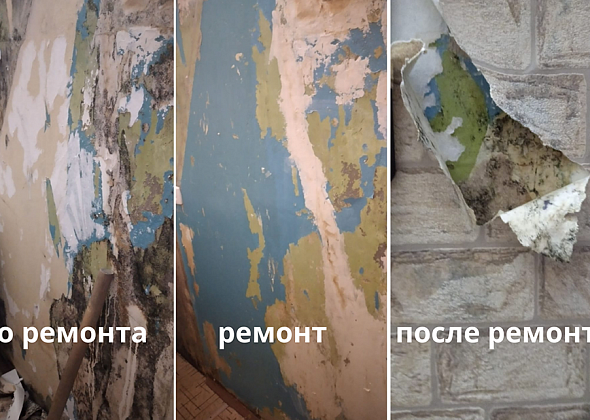 Из-за чего в квартире появляется плесень?