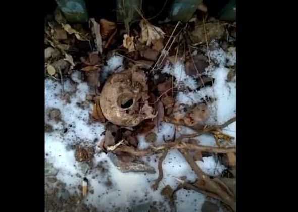 На кладбище нашли человеческий череп. ВИДЕО