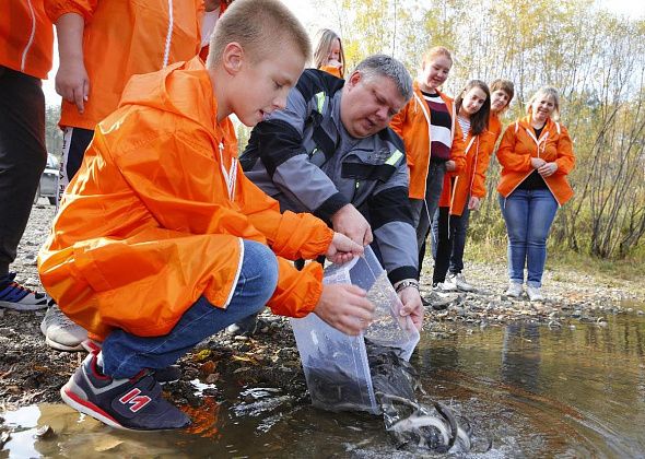 Золотодобытчики и юннаты спасают живую природу: в Какву выпустили молодь стерляди