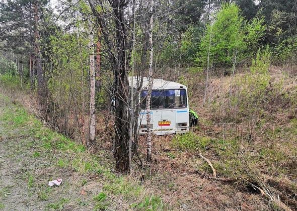 В Краснотурьинске рейсовый автобус съехал в кювет и врезался в дерево