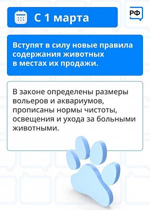Когда будет действовать закон
