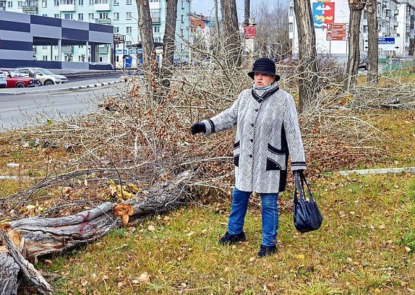 Инициативная горожанка подстригала кусты у больницы. Ранее ее за такую же помощь городу хотели оштрафовать