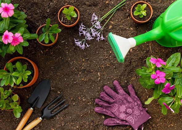 Садовод через суд добился пересмотра отказа в увеличении участка