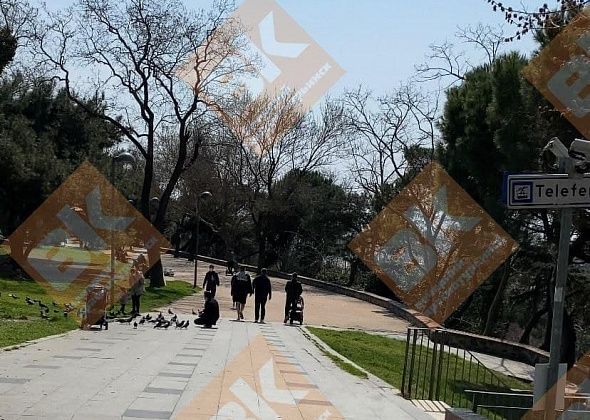 «Собачку выгуливают вчетвером, выводят даже гекконов». Экс-горожанка рассказала о карантине в Стамбуле