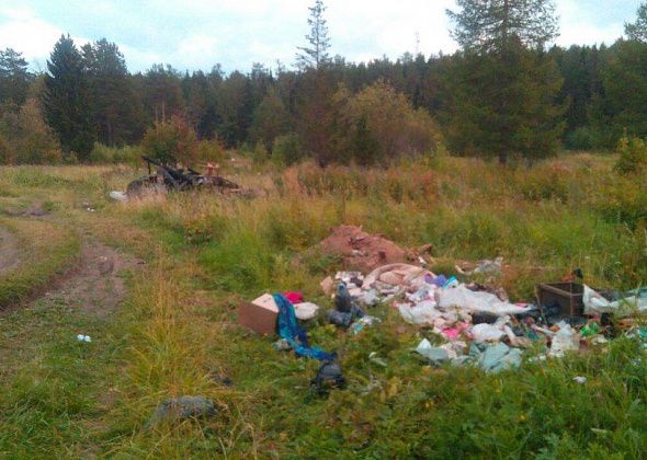 В области установили фотоловушки для фиксации виновных в создании несанкционированных свалок