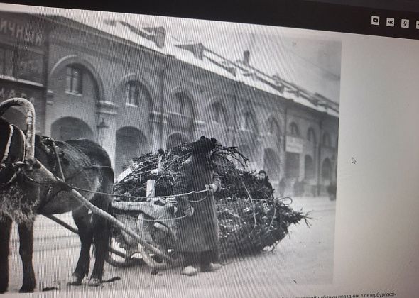 Исторические приключения новогодней елки