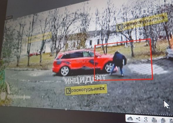 По порче шин дорогой иномарки назначена экспертиза