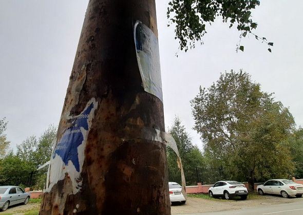 Мэрия просит кандидатов в депутаты убрать выборные листовки