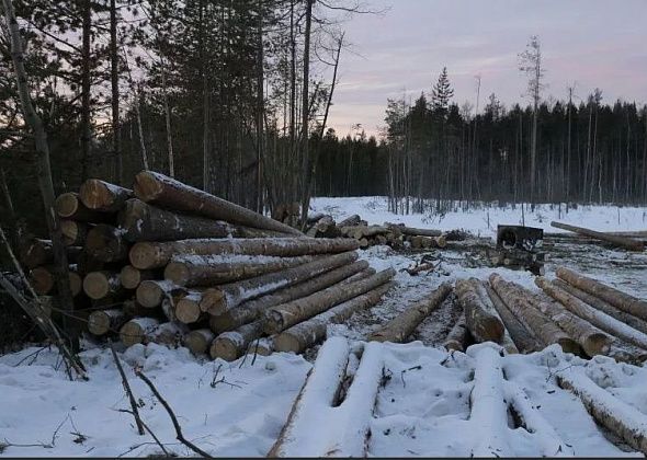 Что хочет от краснотурьинского предпринимателя прокуратура... Верхней Пышмы?