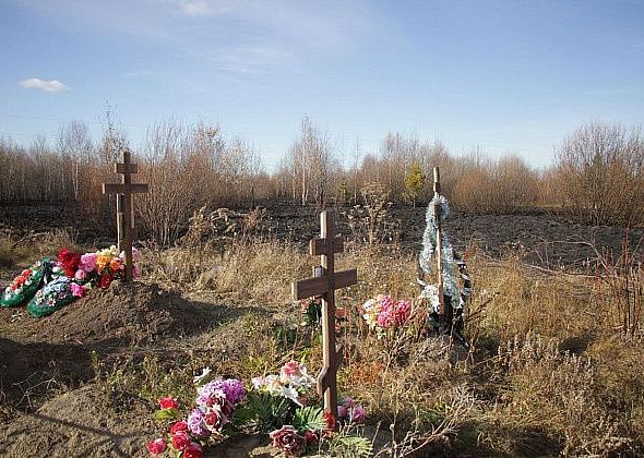 Четверо горожан погибли от рук преступников в прошлом году