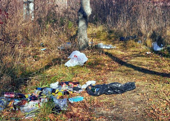 На территории округа станет меньше несанкционированных свалок