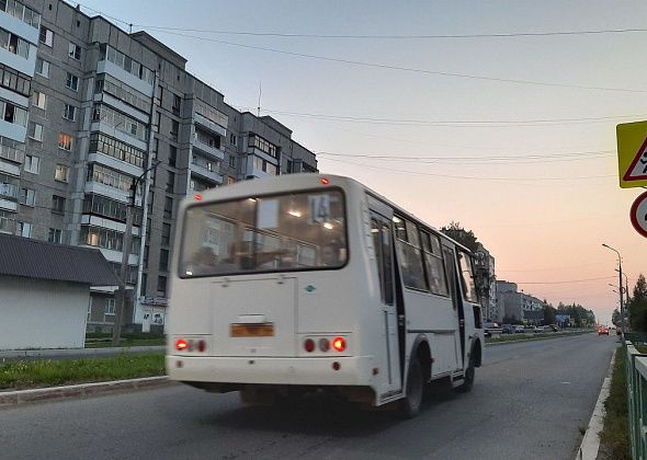 10-15 миллионов в год потребуется для муниципального автотранспорта, но он будет убыточен