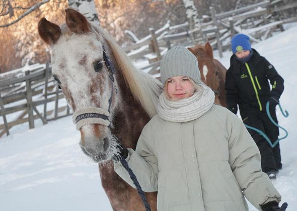 “Они – как дети”. К году Лошади рассказываем о конном хозяйстве “Ласточка”