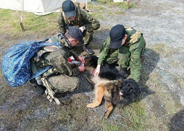 Группы преследования беглецов соревновались в Верхотурье. Представитель ИК-3 лучше всех стрелял 