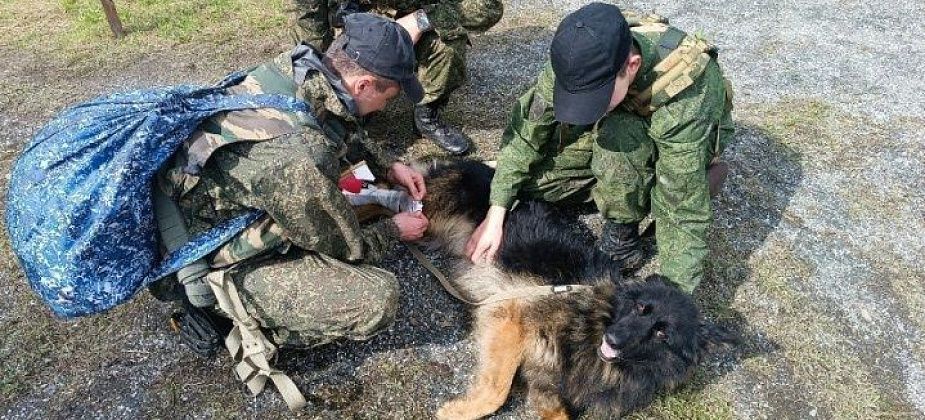 Группы преследования беглецов соревновались в Верхотурье. Представитель ИК-3 лучше всех стрелял 