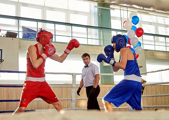 В Краснотурьинске открыт набор в боксерское отделение спортшколы