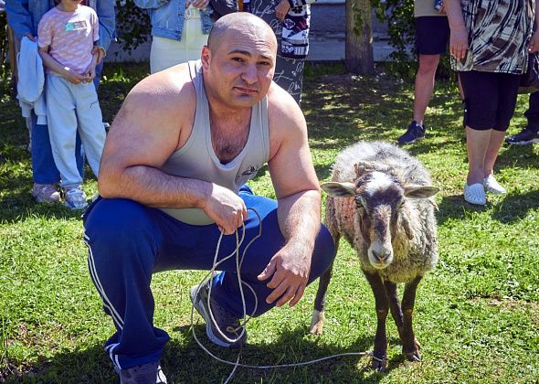 Баран, петух и сладкая вата: в Краснотурьинске прошел Сабантуй