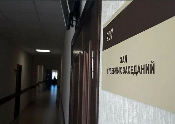 Женщину с поддельными правами снова будут судить. Помочь себе она может благотворительностью