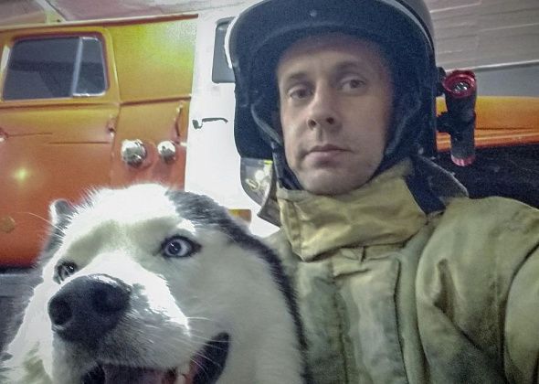 Краснотурьинца избили за замечание на выгул собаки без поводка