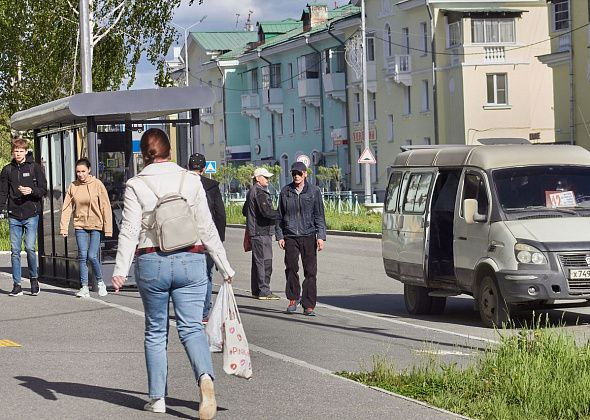 Автобусы ходят плохо. Льготных билетов для садоводов нет, а урожай сам себя не вырастит