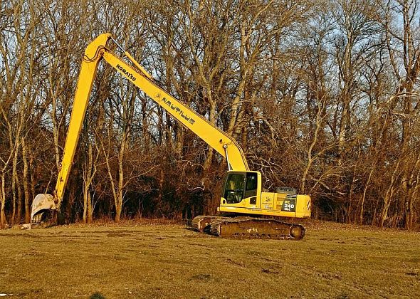 В районе Чернореченска поймали еще одного «золотодобытчика». Он погубил почти 300 деревьев 