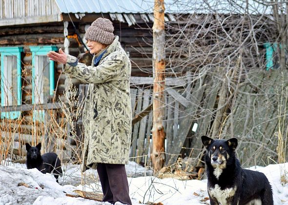 Жители Медной Шахты жалуются на соседских псов: "Собаки кидаются на детей”