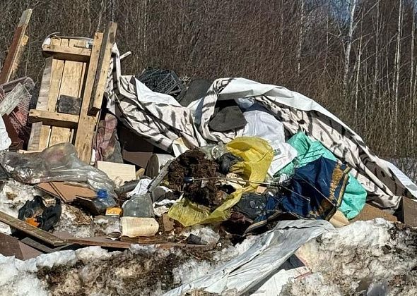 Прокуратура просит сообщать о несанкционированных свалках