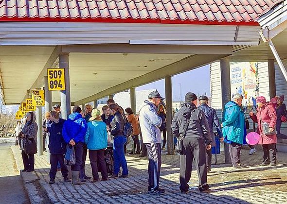 Садоводы напоминают о себе: обеспечьте транспорт на Воронцовку